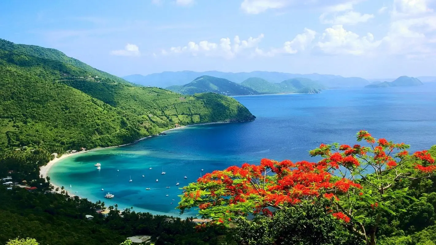 可靠性智能高性能